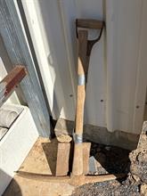 Lot 310