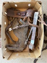 Lot 282